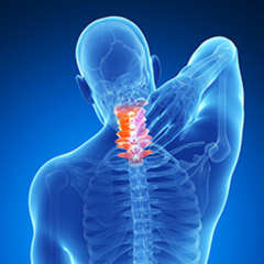 Collection image for: Tutori per Collo