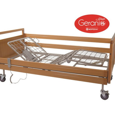 Letto Da Degenza - 3 Snodi - Asta Sollevamalati - Geranio